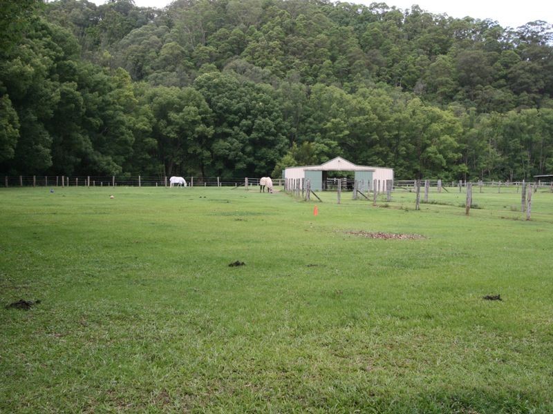 44 Upper Crystal Creek Road, Crystal Creek NSW 2484