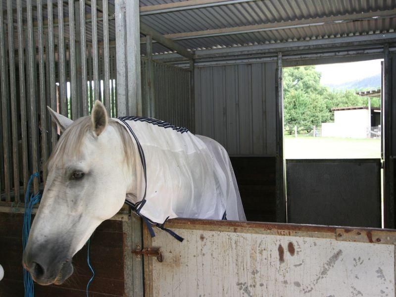 44 Upper Crystal Creek Road, Crystal Creek NSW 2484