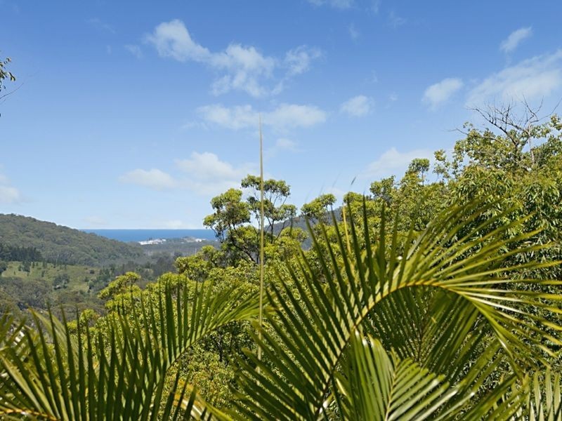 355 Farrants Hill Road, Duranbah NSW 2487