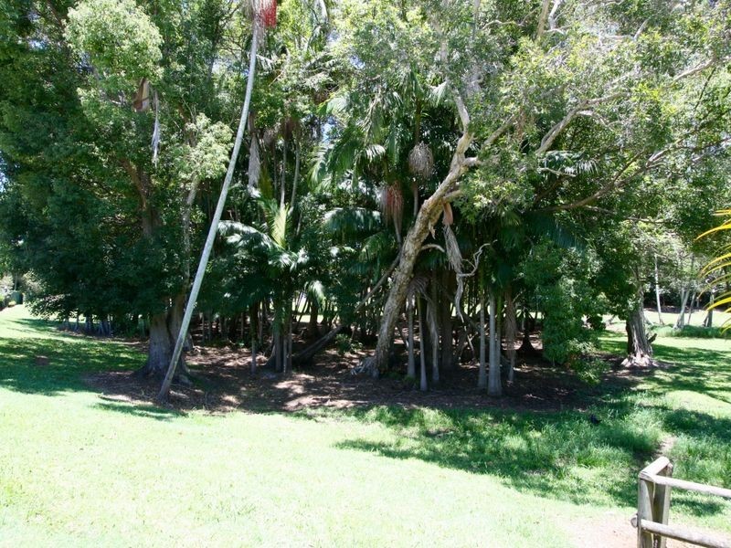 9/13 Parkland Place, Banora Point NSW 2486