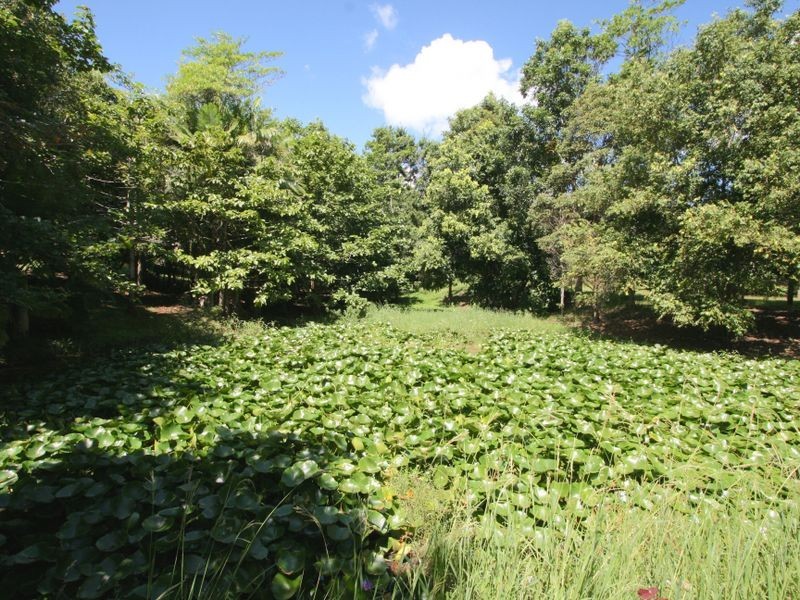 214 Hogans Road, Bilambil NSW 2486