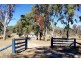 1069 Wallangra Road, Ashford NSW 2361