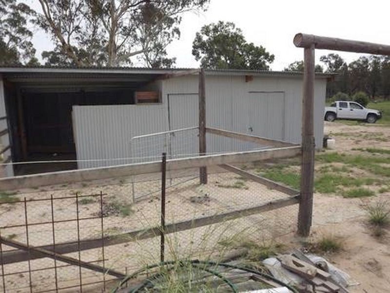 1069 Wallangra Road, Ashford NSW 2361