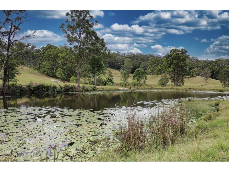 4 Jabiru Drive, Cobaki Lakes NSW 2486