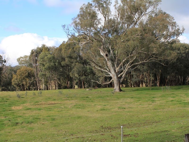 1 & 3/411 Whytes Road, Baranduda VIC 3691