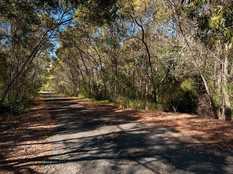 45 Whitecedar Circuit, North Lakes QLD 4509