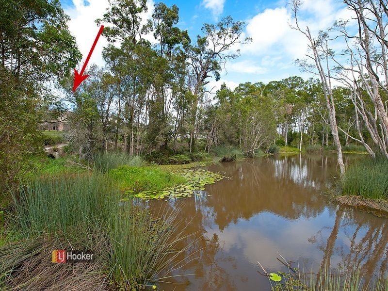20 Pademelon Circuit, North Lakes QLD 4509