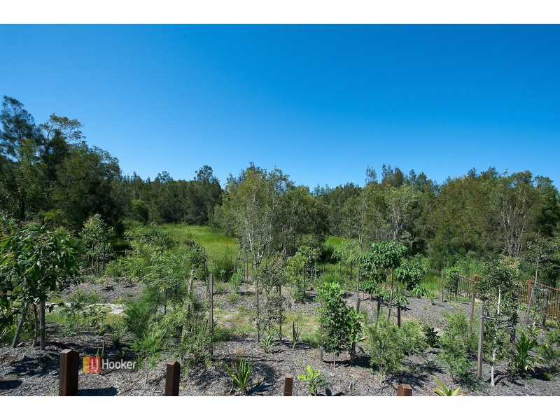 1 Welford Court, Mango Hill QLD 4509