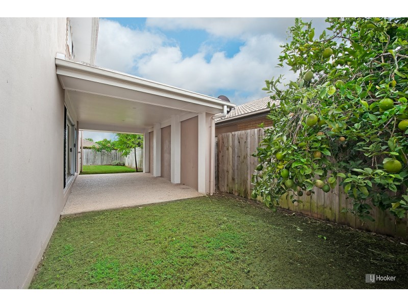 10 Silkpod Court, North Lakes QLD 4509