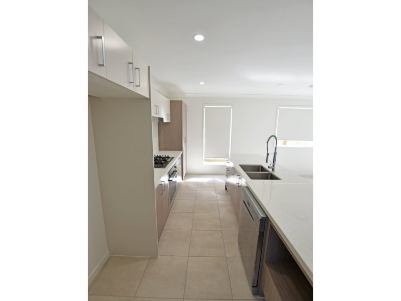 39 Attenborough Circuit, North Lakes QLD 4509