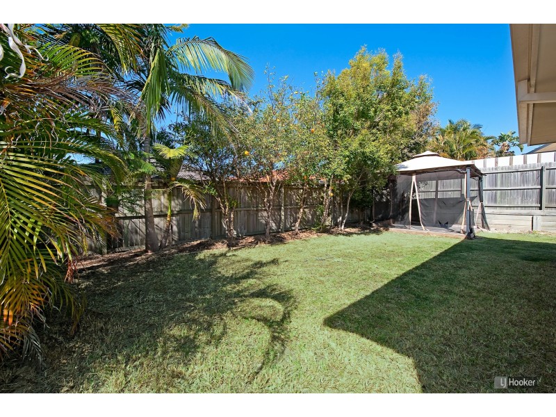 6 Peron Crescent, North Lakes QLD 4509