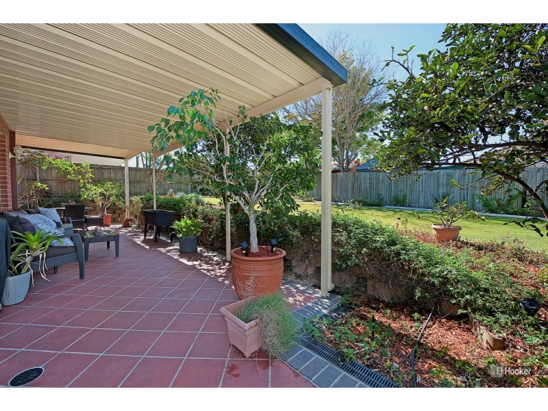 10 Campion Drive, North Lakes QLD 4509