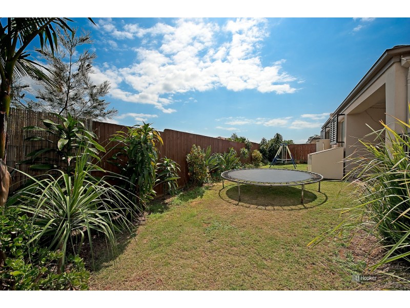 28 Conlan Street, Nudgee QLD 4014