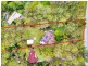 1048 Dayboro Road, Kurwongbah QLD 4503