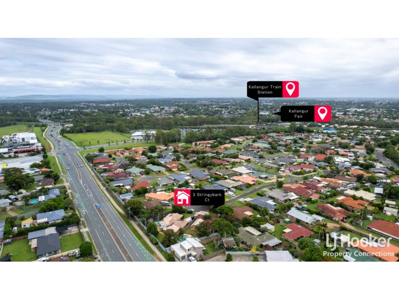 3 Stringybark Court, Murrumba Downs QLD 4503