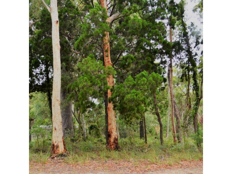 17 Morwong Street, Macleay Island QLD 4184