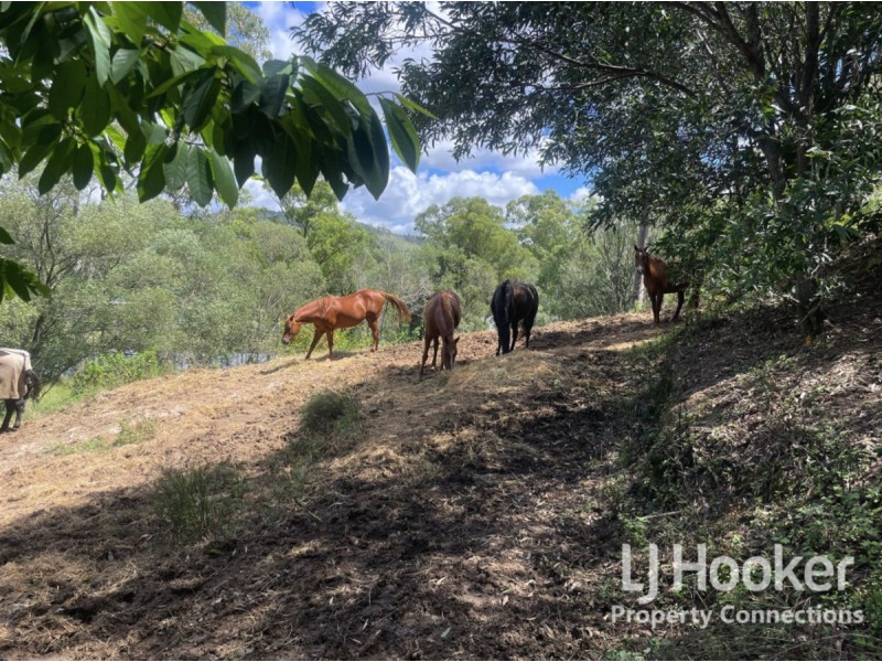 263 Raynbird Road, Narangba QLD 4504