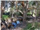 1237 Tanby Road, Tanby QLD 4703