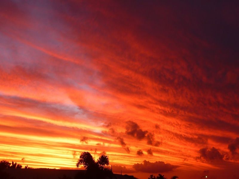 28 Singleton Street, Zilzie QLD 4710