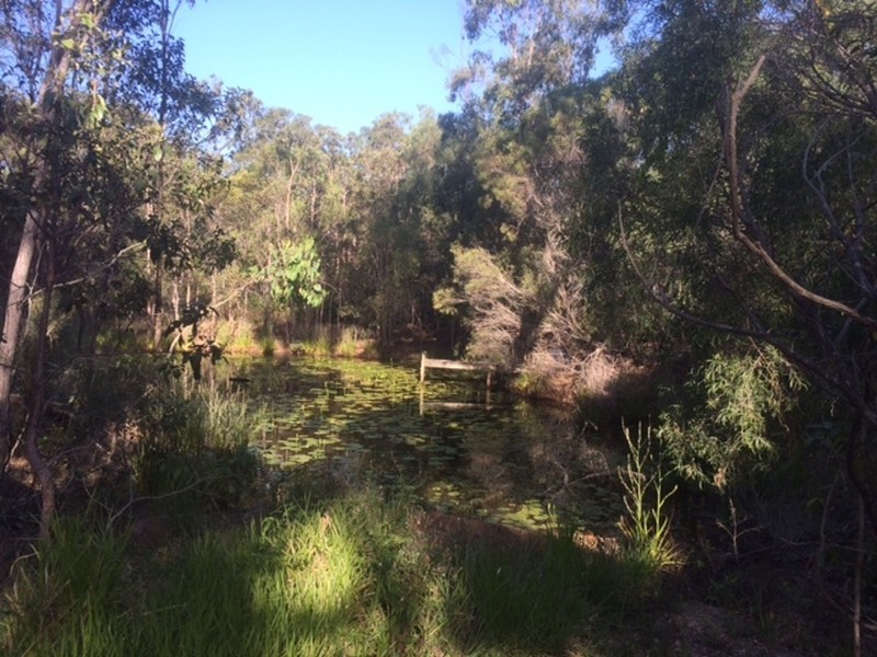 50 Hidden Valley Road, Hidden Valley QLD 4703