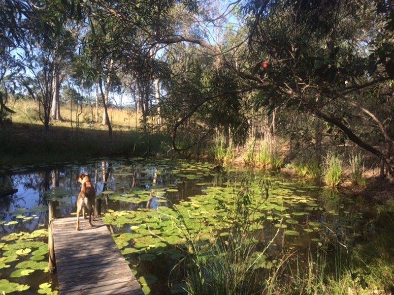 50 Hidden Valley Road, Hidden Valley QLD 4703