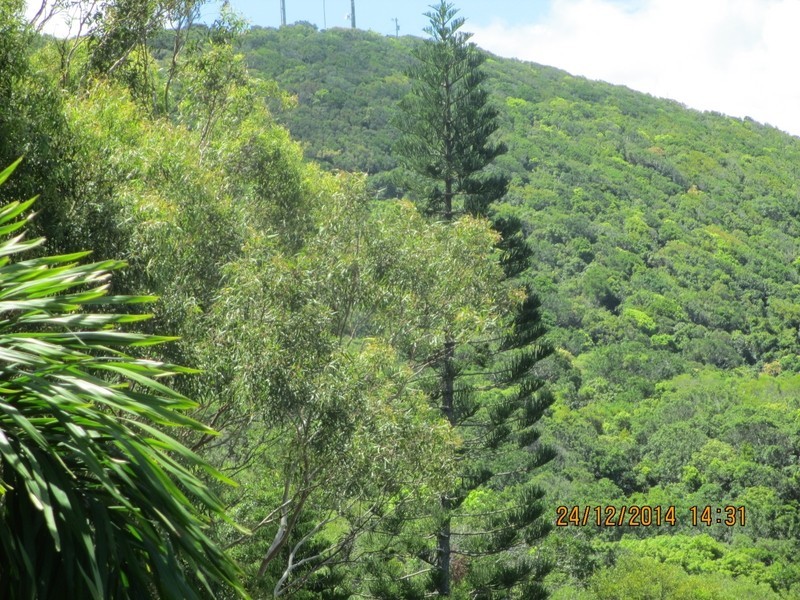 21 Ocean Circle, Yeppoon QLD 4703