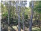 29 Forrester Way, Yeppoon QLD 4703