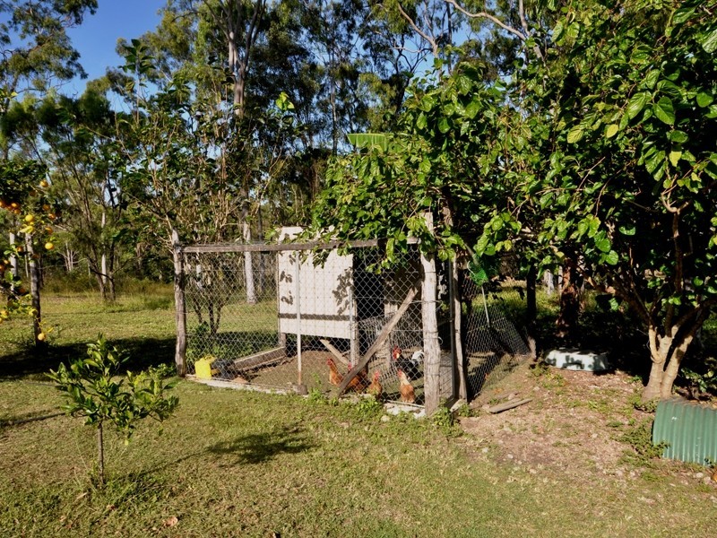 51 Cawarral Road, Tungamull QLD 4702