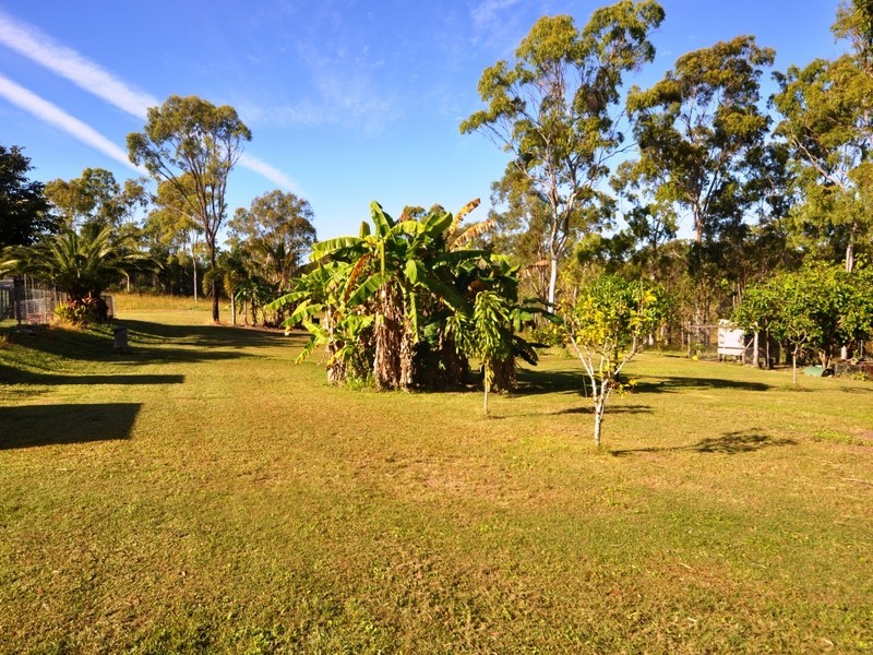 51 Cawarral Road, Tungamull QLD 4702
