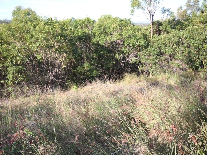 308 Coowonga Road, Coowonga QLD 4702