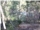 308 Coowonga Road, Coowonga QLD 4702