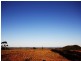251 Warcons Road, Cawarral QLD 4702