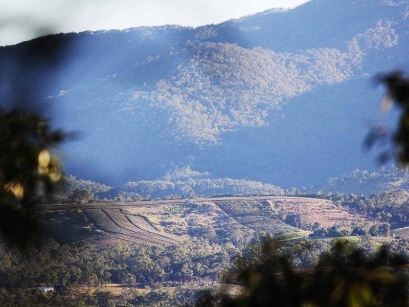 251 Warcons Road, Cawarral QLD 4702