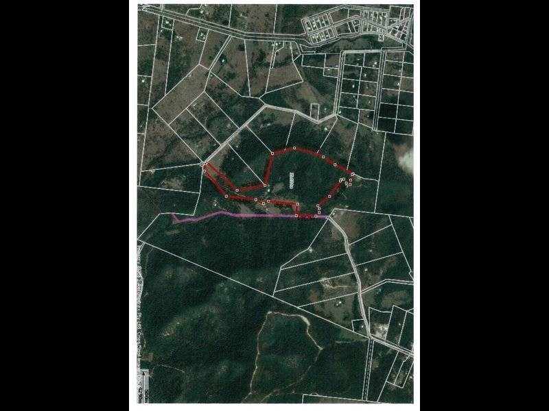 251 Warcons Road, Cawarral QLD 4702