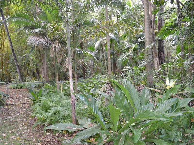 357 Limestone Creek Road, Yeppoon QLD 4703
