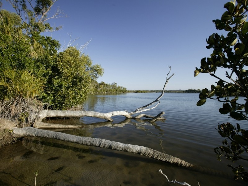 4 Nautilus Avenue, Mulambin QLD 4703