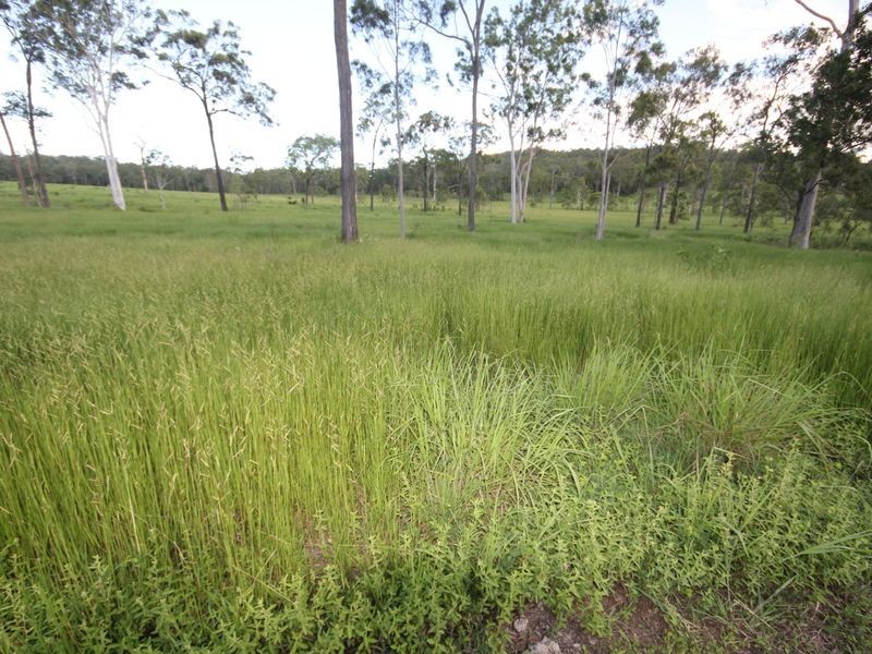 90 Paddys Swamp Road, Bungundarra QLD 4703