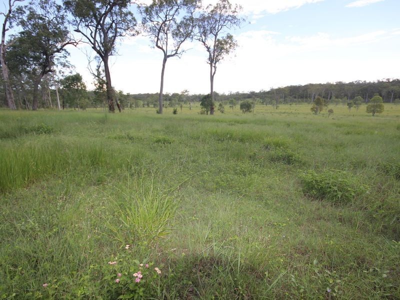 90 Paddys Swamp Road, Bungundarra QLD 4703