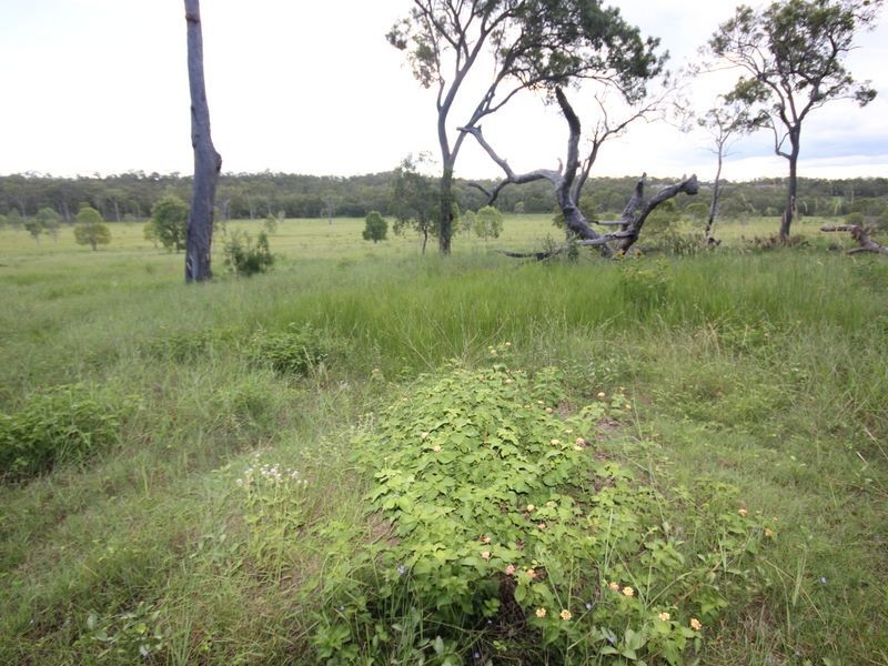 90 Paddys Swamp Road, Bungundarra QLD 4703