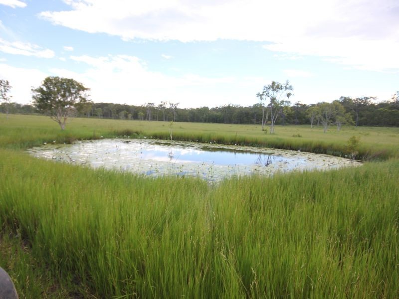 90 Paddys Swamp Road, Bungundarra QLD 4703