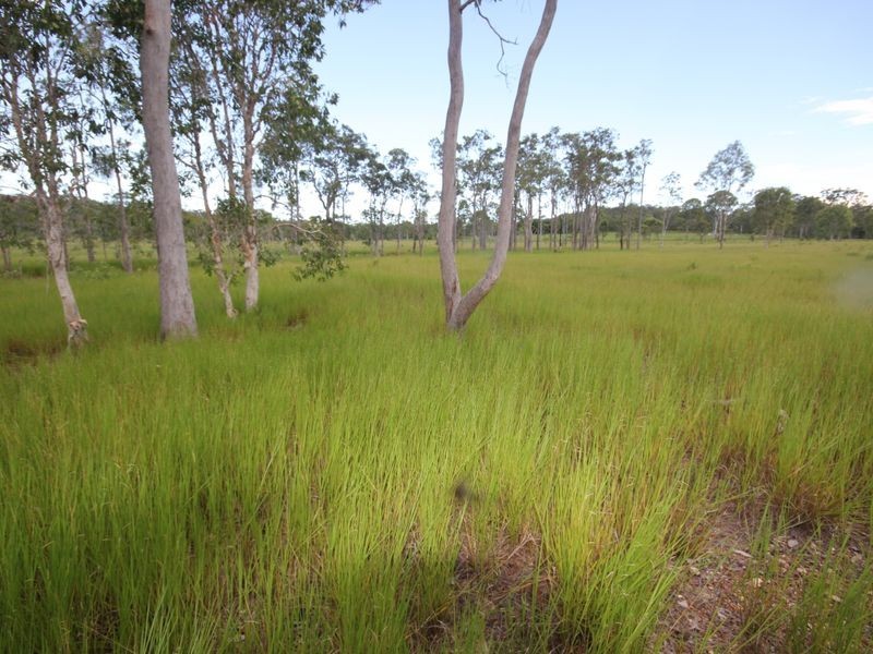 90 Paddys Swamp Road, Bungundarra QLD 4703