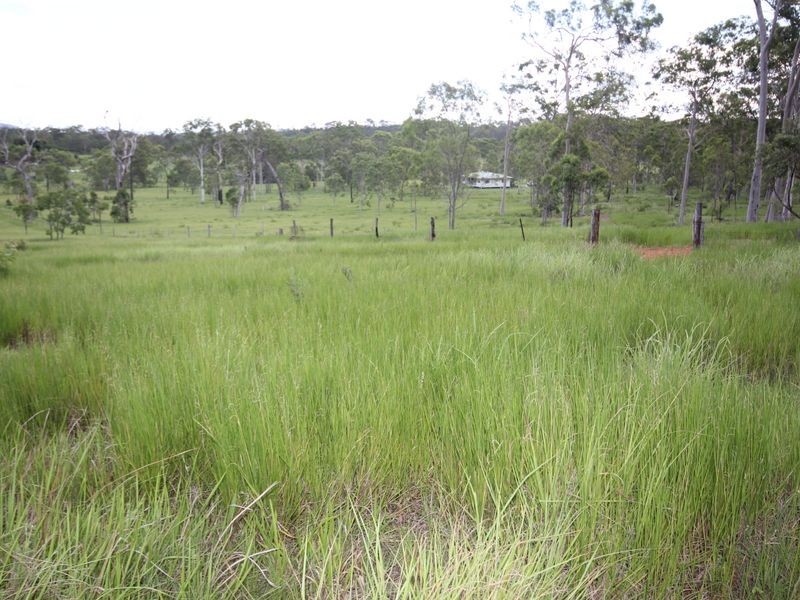 90 Paddys Swamp Road, Bungundarra QLD 4703