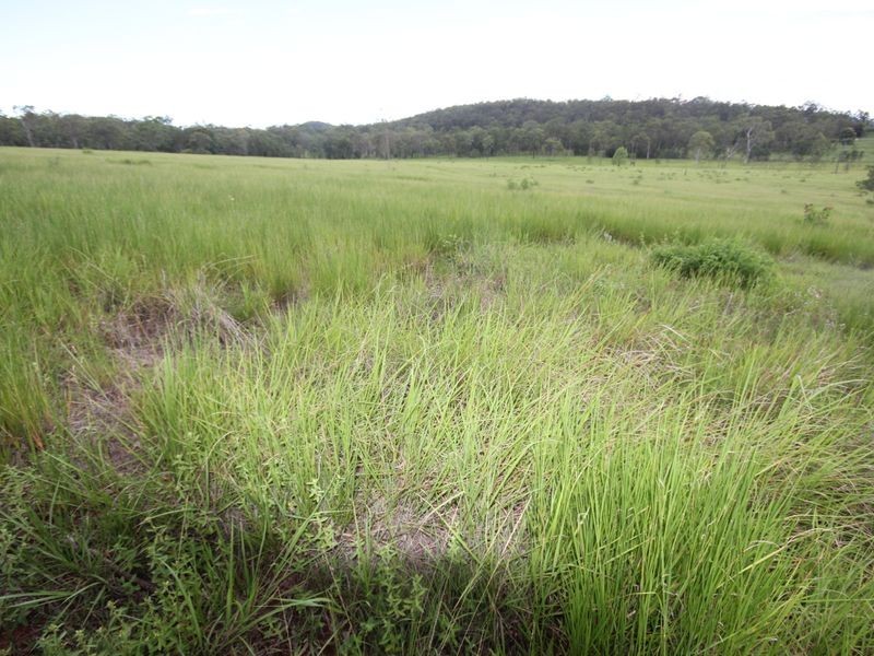 90 Paddys Swamp Road, Bungundarra QLD 4703