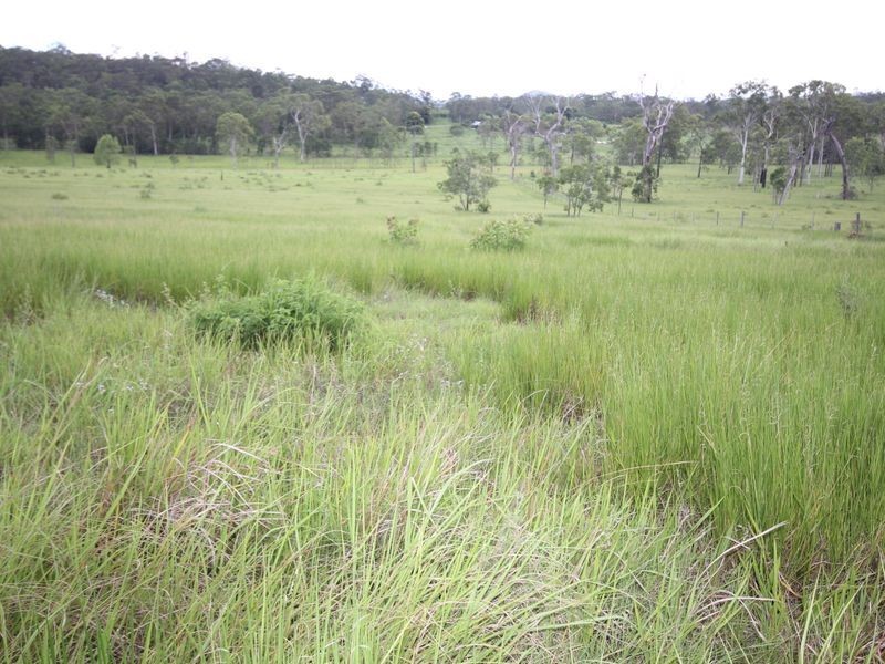 90 Paddys Swamp Road, Bungundarra QLD 4703