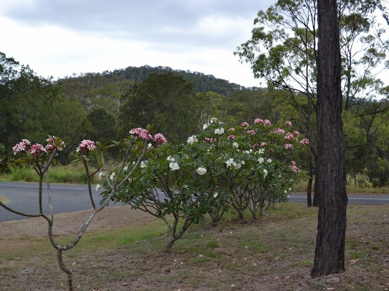 5 Magnesia Street, Cawarral QLD 4702