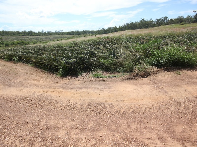 108 Neils Road, Bondoola QLD 4703