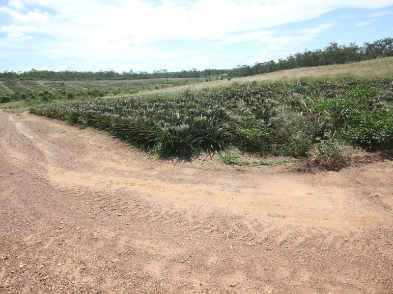 108 Neils Road, Bondoola QLD 4703