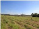 199 Woodvale Park Road, Adelaide Park QLD 4703