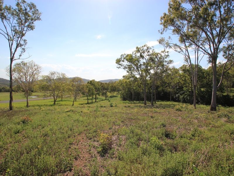 199 Woodvale Park Road, Adelaide Park QLD 4703