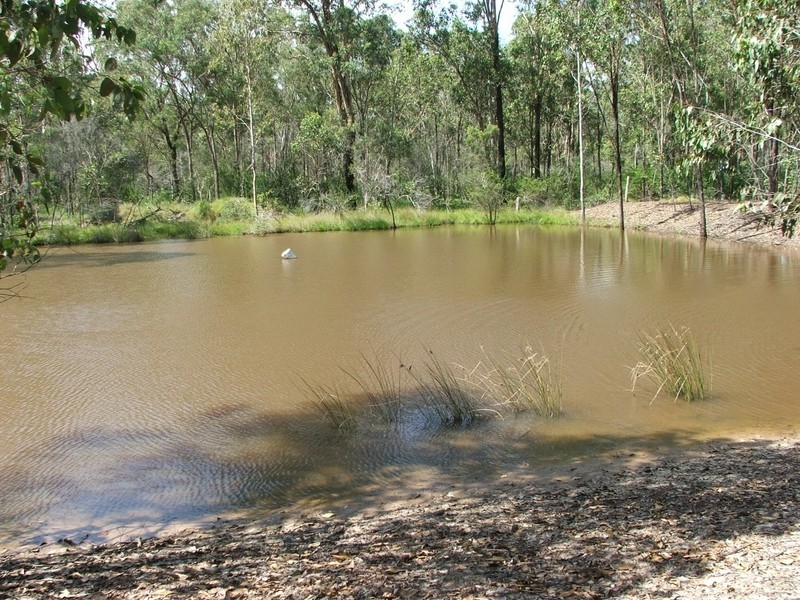 208 Pine Mountain Drive, Mulara QLD 4703